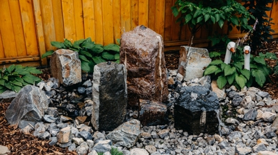 Water feature with rocks, plants, and geese. Photo